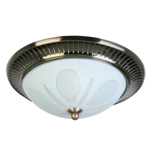 Накладной светильник Toplight Fae TL5060Y-02AB