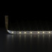 Светодиодная лента Elektrostandard 4,8W/m 60LED/m 2835SMD теплый белый 5M 4690389106804 a049836