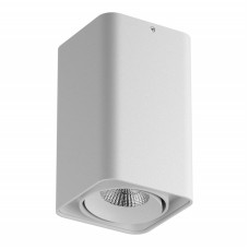 Накладной светильник Lightstar 052336