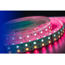 Светодиодная лента DesignLed DSG5120-24-RGB+W-33 000514