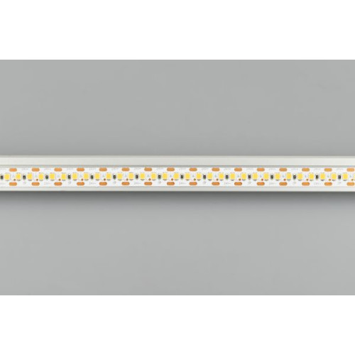 Светодиодная лента Arlight RT-A168-10mm 24V Day5000-CX2 (17.3 W/m, IP20, 2835, 5m) 028735(2)