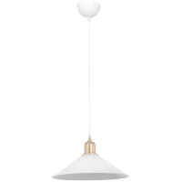 Подвесной светильник Toplight Delilah TL1606H-01WH