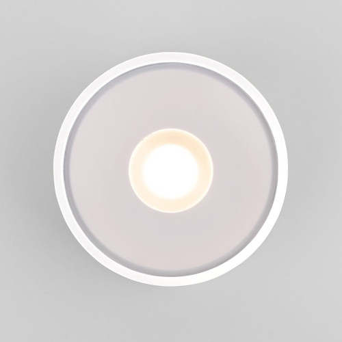 Уличный потолочный светильник Elektrostandard Light LED 4690389180132