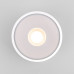 Уличный потолочный светильник Elektrostandard Light LED 4690389180132