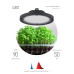 Фитопрожектор для растений Эра FITO-50W-RB-LED-UFO Б0053280