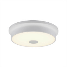 Потолочный светодиодный светильник Citilux Фостер-2 CL706220