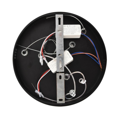 Подвесная люстра Lumion Ledio Sava 8373/55L