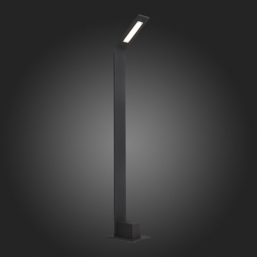 Уличный светодиодный светильник ST Luce Ansa SL094.445.01