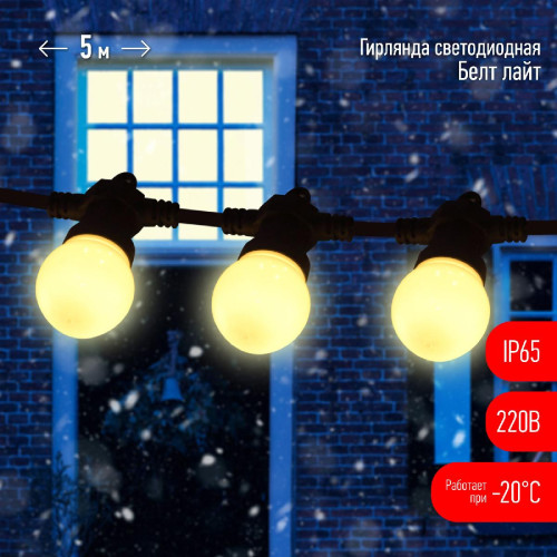 Уличная гирлянда ЭРА ERABL-WS5 Б0047952