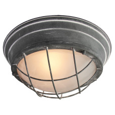 Потолочный светильник Lussole Loft GRLSP-9881