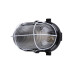 Настенно-потолочный светильник TDM Electric Евро НБП 02-60-019.01 SQ0312-0008
