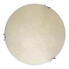 Настенно-потолочный светодиодный светильник Toplight Jane TL9641Y-00WH
