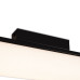 Потолочный светильник Freya Even FR5625CL-L20B