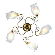 Потолочная люстра Arte Lamp Mughetto A9289PL-5GO