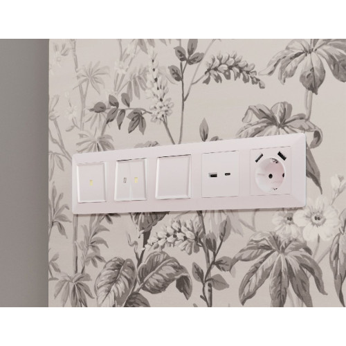 Лицевая панель для розетки 2USB тип A+C Ambrella Volt Alfa AP2110