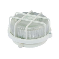 Настенно-потолочный светильник TDM Electric НПП 03-100-005.04 SQ0311-0001