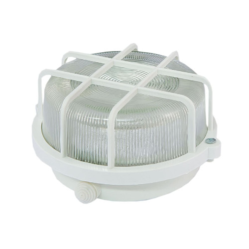 Настенно-потолочный светильник TDM Electric НПП 03-100-005.04 SQ0311-0001