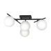 Настенно-потолочный светильник Citilux Dorsy CL223142