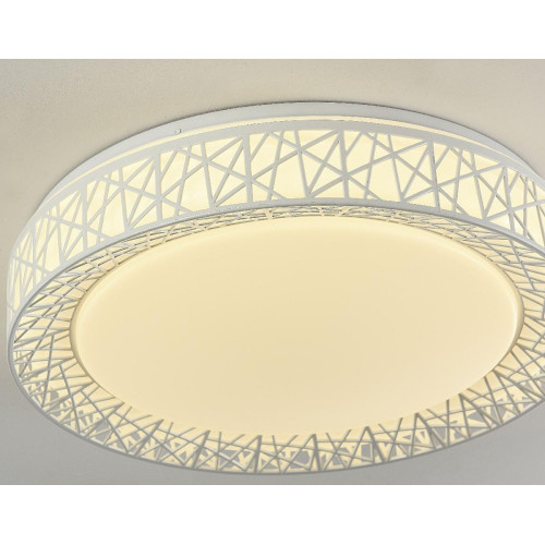Потолочный светодиодный светильник F-Promo Creatura 2314-5C