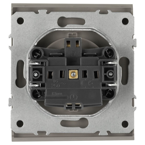Розетка Эра Arktik 16-2103-07 с заземлением 2P+E Schuko со шторками с крышкой 16А-250В титан Б0070440