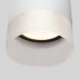 Уличный потолочный светильник Elektrostandard Light LED 4690389177958