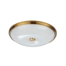 Настенно-потолочный светильник Odeon Light Pelow 4956/5