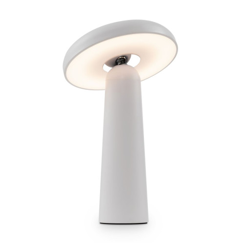 Настольная аккумуляторная лампа Freya Mushroom FR6109TL-L4W