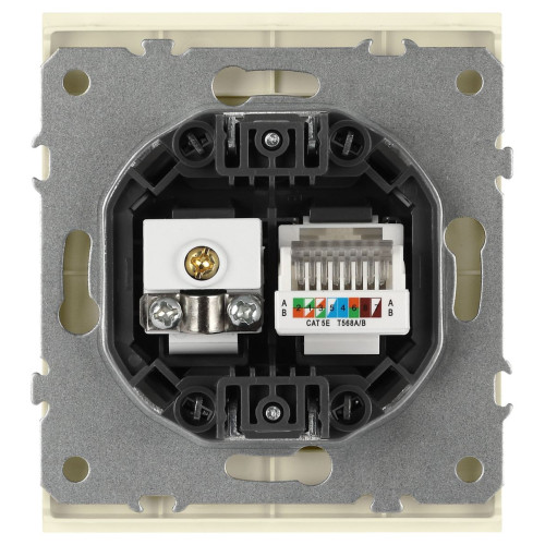 Розетка Эра Arktik 16-3110-02 комбинированная RJ45+TV слоновая кость Б0070495