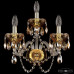 Бра Bohemia Ivele Crystal 5402B/2+1/165 G Amber/M-1G K721