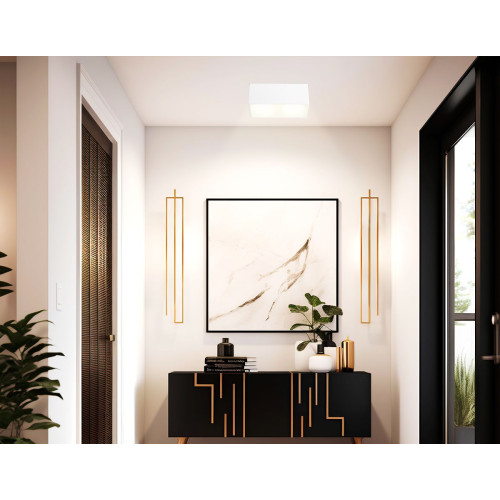 Накладной светильник Ambrella Light Techno Spot IP Protect TN6534