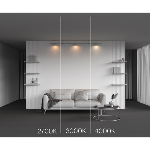 Трековый магнитный светильник Maytoni Zon TR189-1-12W2.7K-BW