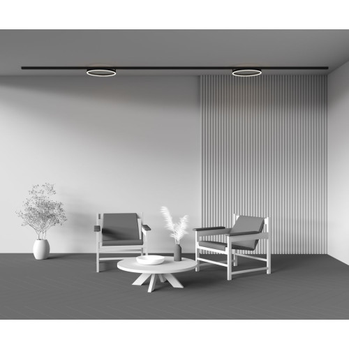 Трековый магнитный светильник Maytoni Rim TR227-2-24W3K-B