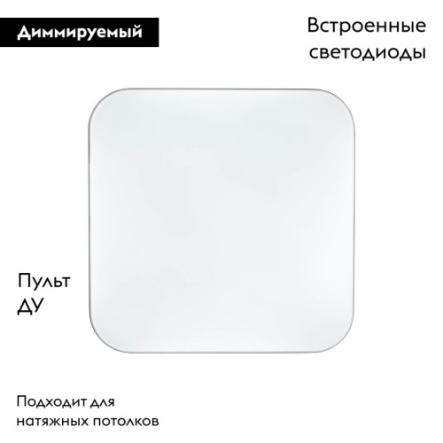Настенно-потолочный светильник Sonex Lona 3020/DL