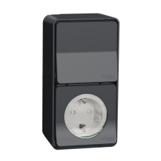 Розетка с выключателем Schneider Electric MUR36924