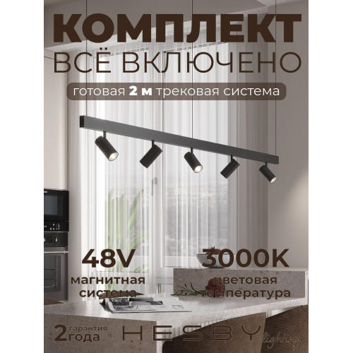 Трековая система со светильниками №3 трехфазная подвесная Eldeko (48В, форма - прямая, 2м, 3000K) черная Hesby Lighting HSBL_kompl_E003_PI2B3K