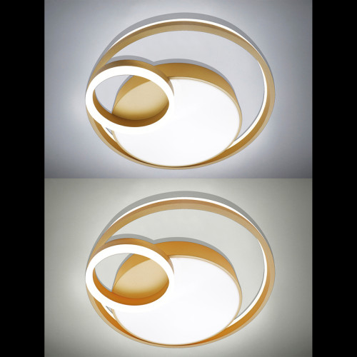 Потолочная люстра Natali Kovaltseva LED LAMPS 81305