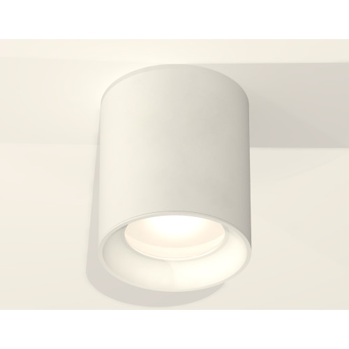 Потолочный светильник Ambrella Light Techno Spot XS7421010 (C7421, N7020)