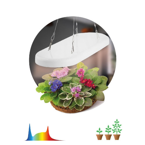 Подвесной светильник для растений Эра FITO-25W-QLED-FLY Б0053062