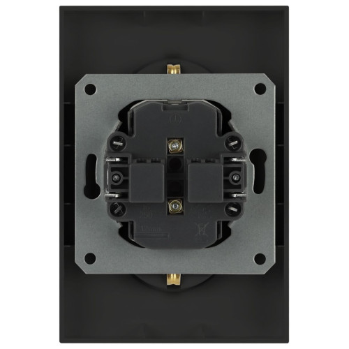 Розетка Эра Arktik 16-2107-05 без заземления двойная 2X2P 16А-250В антрацит Б0071685
