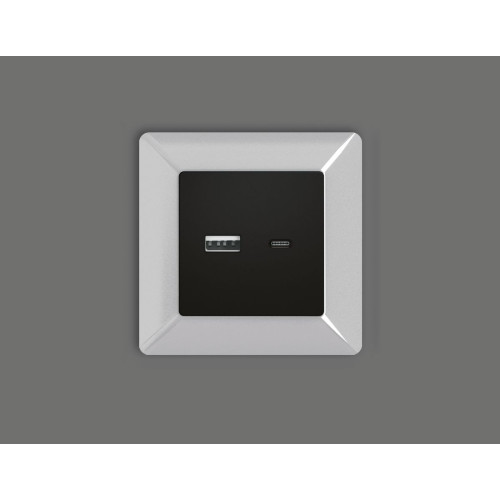 Лицевая панель для розетки 2USB тип A+C Ambrella Volt Alfa AP8110