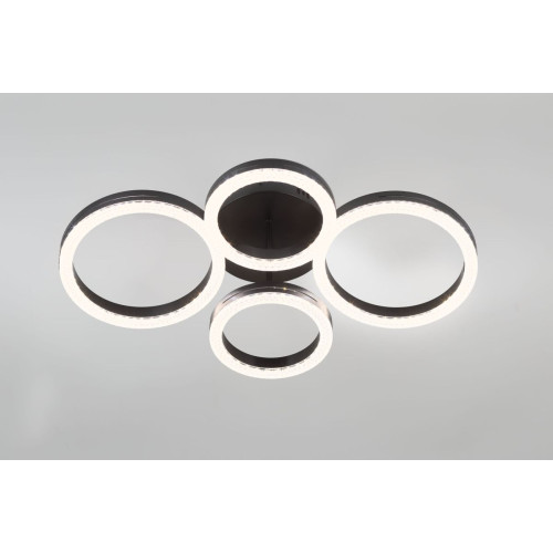 Потолочный светильник Rivoli Flora 6191-201