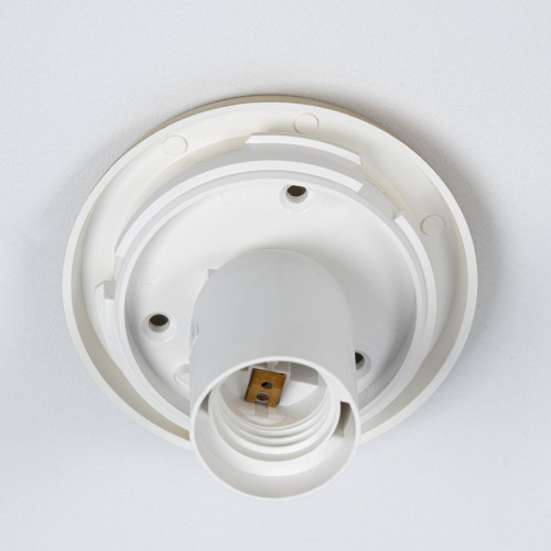 Потолочный светильник Citilux Ron CL941D25B2