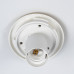 Потолочный светильник Citilux Ron CL941D25B2