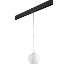 Трековый светильник Lightstar Pentola PRO803040 (803040+595007)