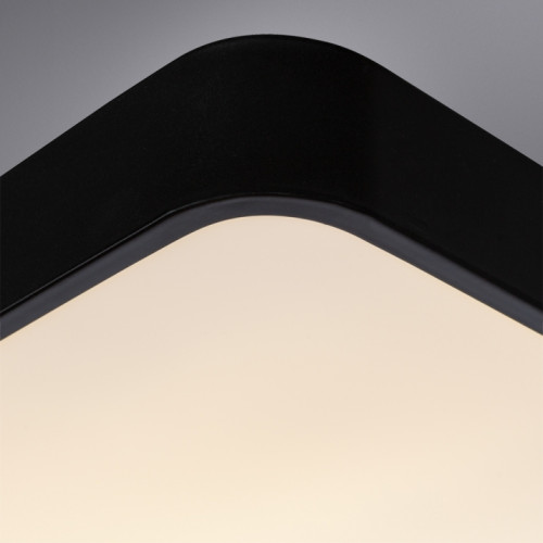 Потолочный светильник Arte Lamp A2663PL-1BK
