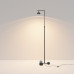 Торшер Maytoni Pikant MOD372FL-L10B3K