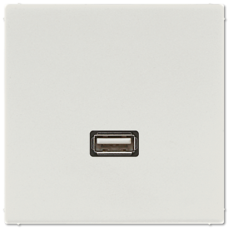 Розетка USB Jung MALS1122LG