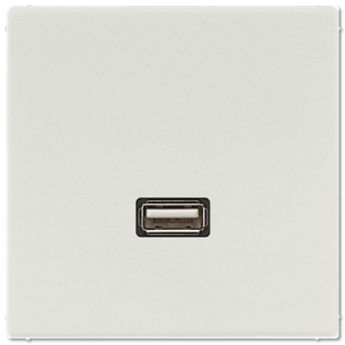 Розетка USB Jung MALS1122LG