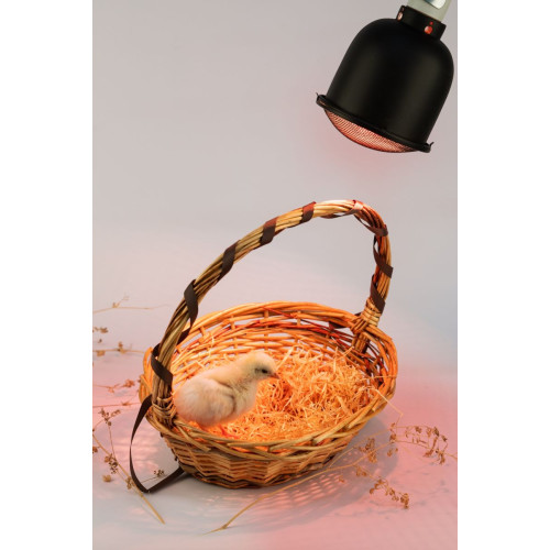 Светильник для террариумов и брудеров Эра FITO-E27-SHADE Б0053286