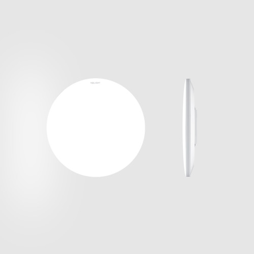 Потолочный светильник Yeelight Porch Ceiling Light C260/YLXDD-0152